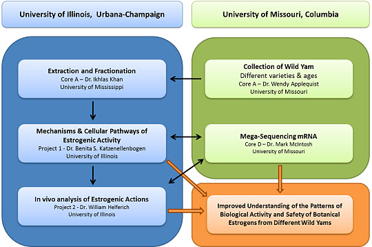 Collaborative image - UI and Missouri
