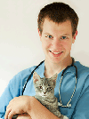 male veterinarian with tabby cat