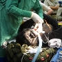 Dr. Stephen Juriga operating on monkey