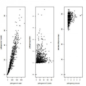 Risk of pathogen transfer from water to plants, plants to produce, and produce to human infection