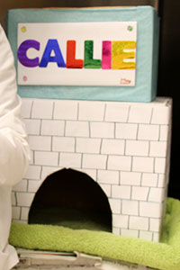 cat castle