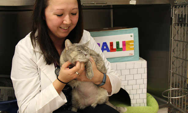 Amy Fink with Callie