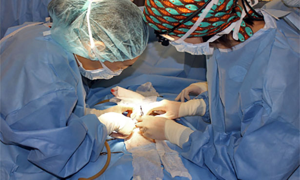 Surgeons fix congenital abnormality in a puppy; surgical correction