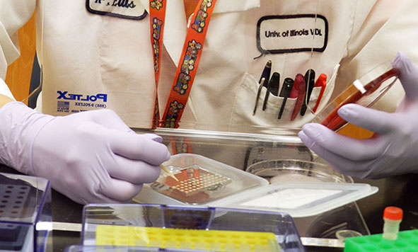 lab tech plates isolates, MALDI-TOF