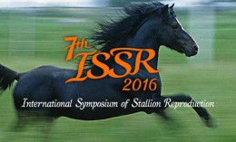 ISSR Stallion Web Header