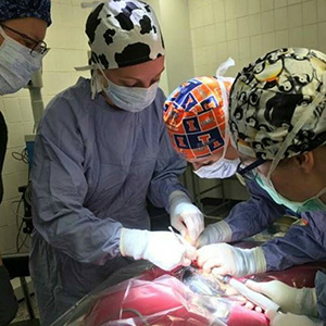 surgery on crow