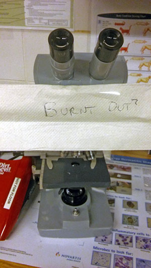 burnt out