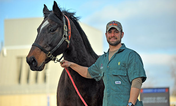 Illinois Horse Fair