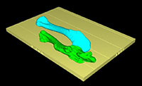 news-eagle-bones-on-printer-platform