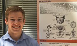 Powers toxoplasma research