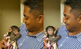 Dr. Perushan with baby baboon