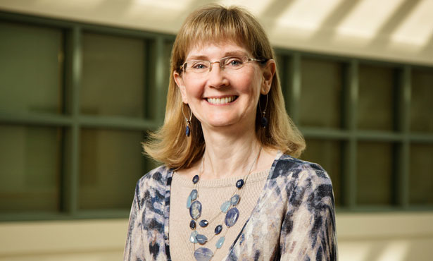Dr. Susan Schantz NIH grant