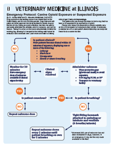 PDF of emergency protocol for canine opioid exposure or suspected exposure