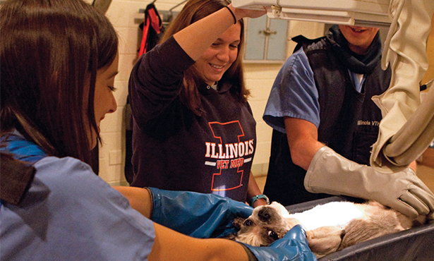 Students practice imaging