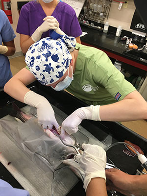 Wright fish surgery