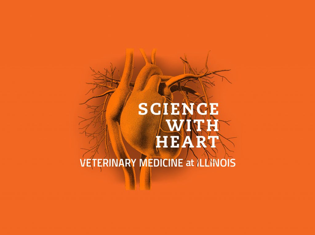 Science With Heart - Veterinary Medicine at Illinois