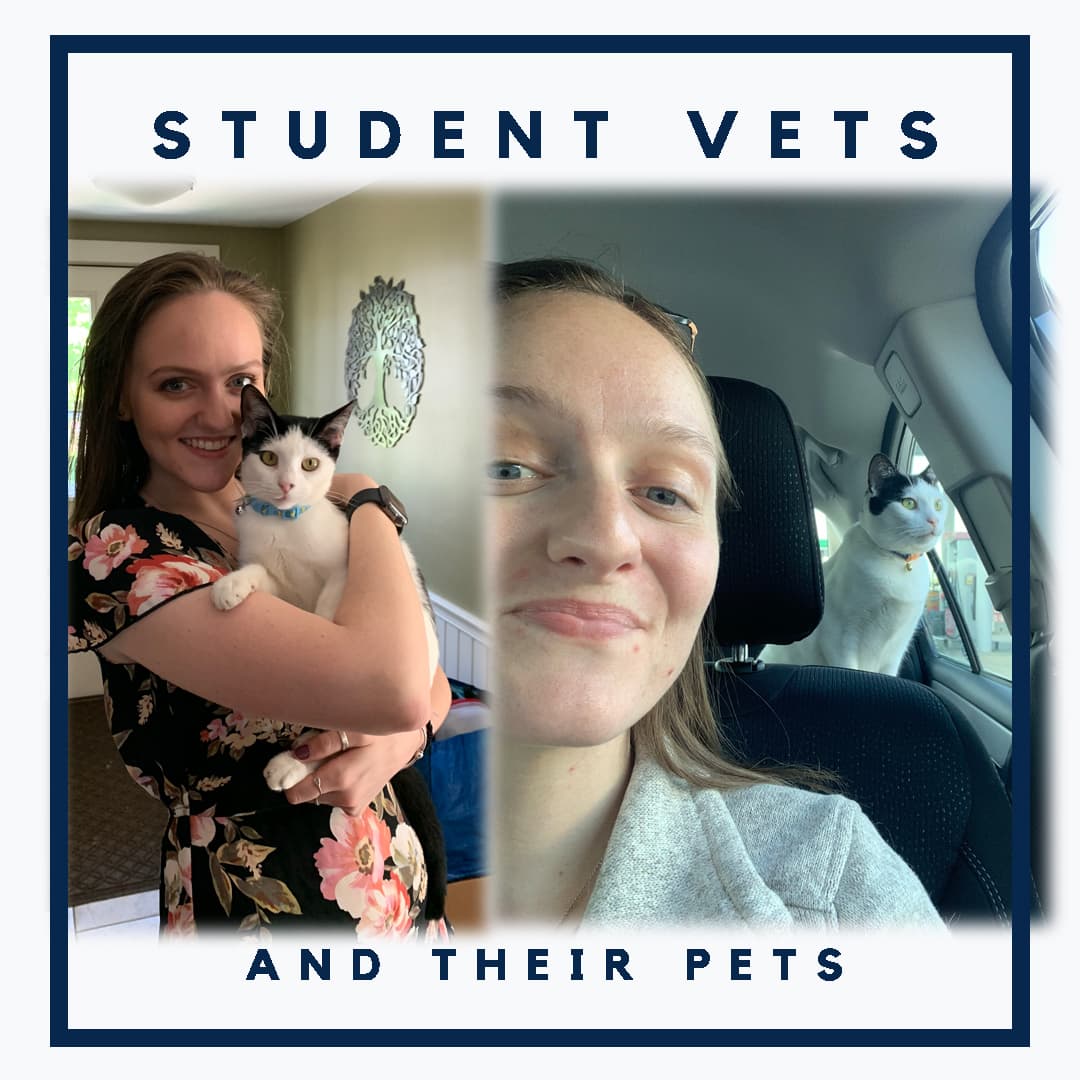 Abby Bray-Vets and Pets