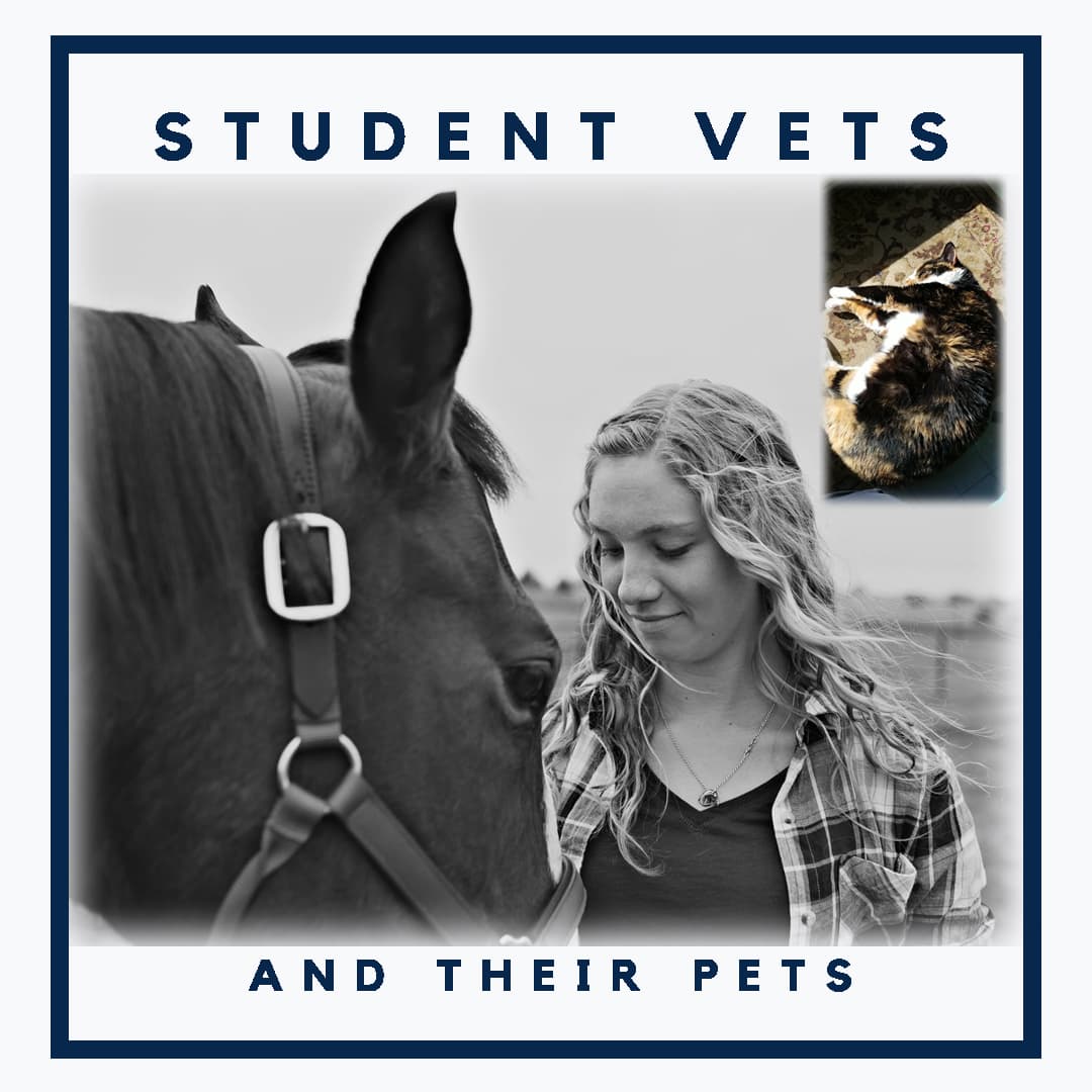 Kira Conklin - Vets and Pets