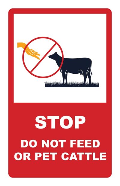 Sign: Stop, Do not feed or pet cattle
