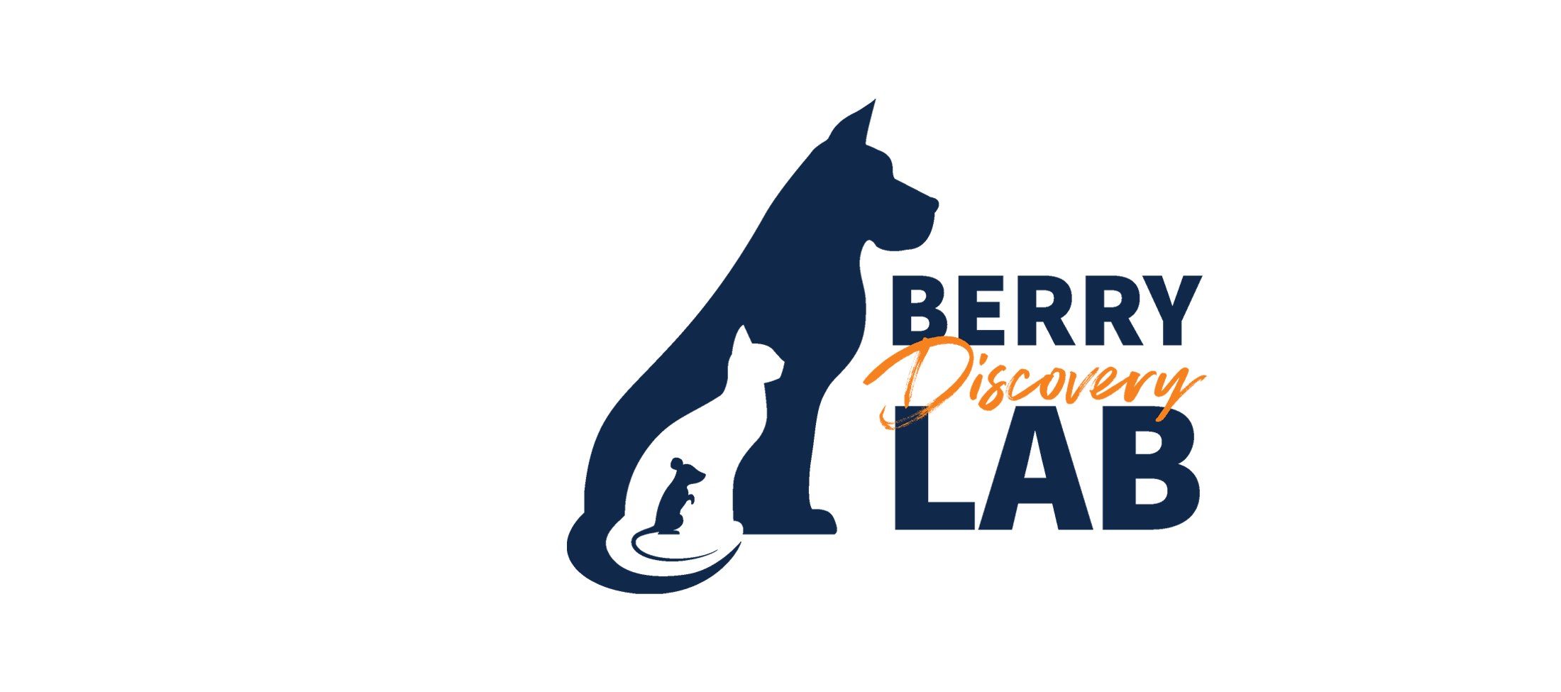 Berry Discovery Lab wordmark