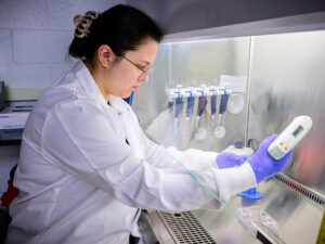 Research – Berry Discovery Lab