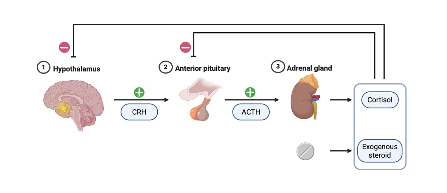 Steroid Trial
