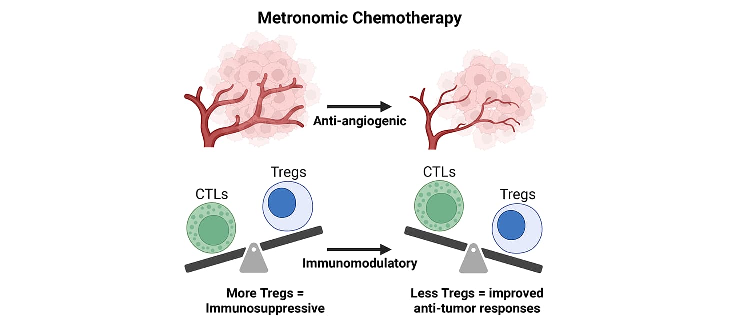 Metronomic Chlorambucil