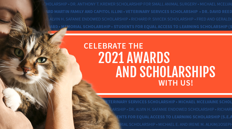 Celebrate the 2021 Awards & Scholarships with us!