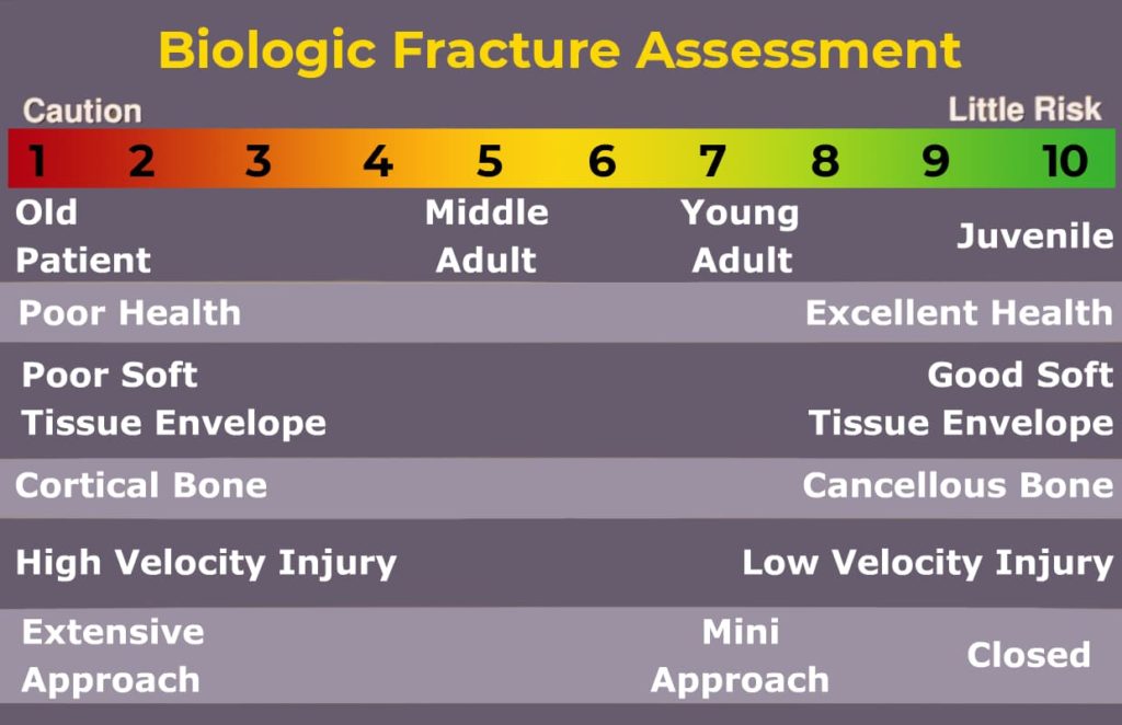Biologic Fracture Assessment