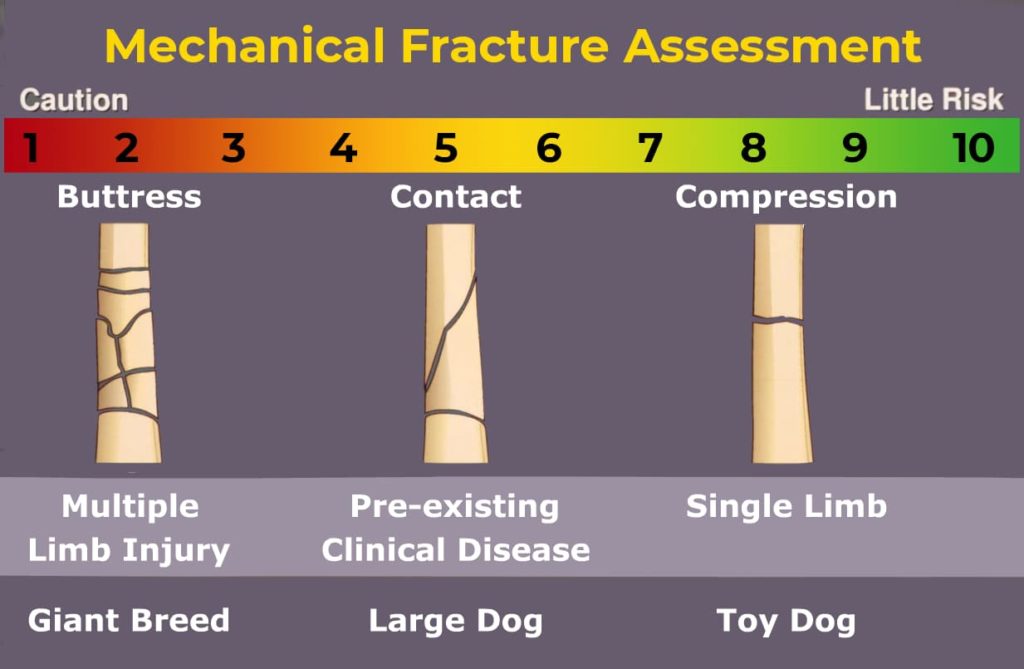 Mechanical Fracture Assessment