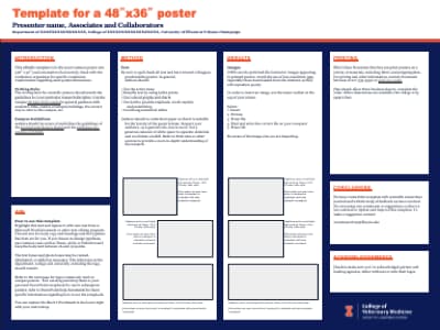 48x36 Research Poster template