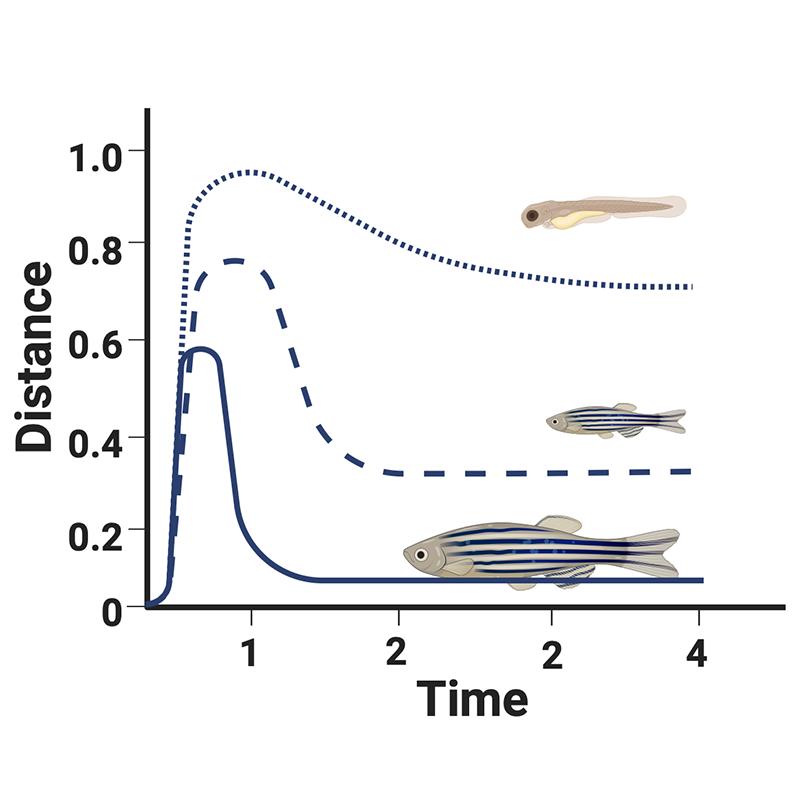 Illustration of potential age specific differences in microbial community responses to perturbations chemical exposures.