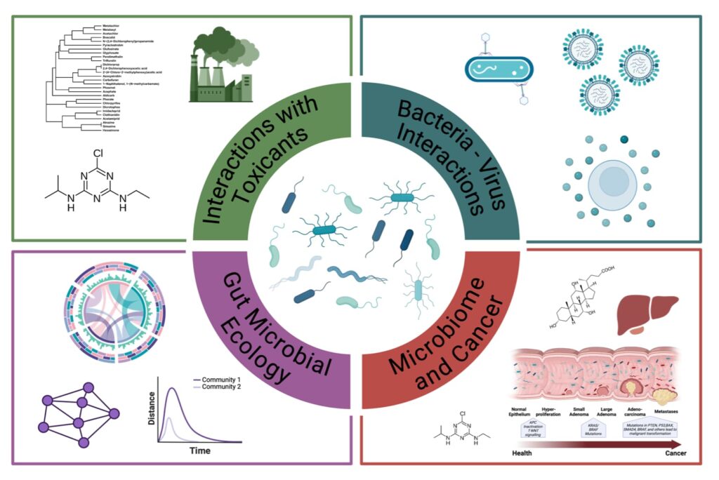 Four Areas of Activity in the Lab
1. Interacrtions with Toxicants
2. Bacteria - virus Interactions
3. Gut Microbial Ecology
4. Microbiome and Cancer