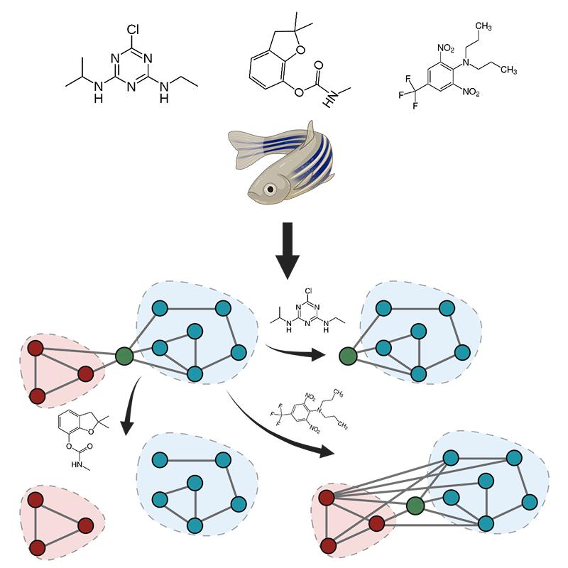 Graphic representation of chemical impacts on gut microbial community interactions. 