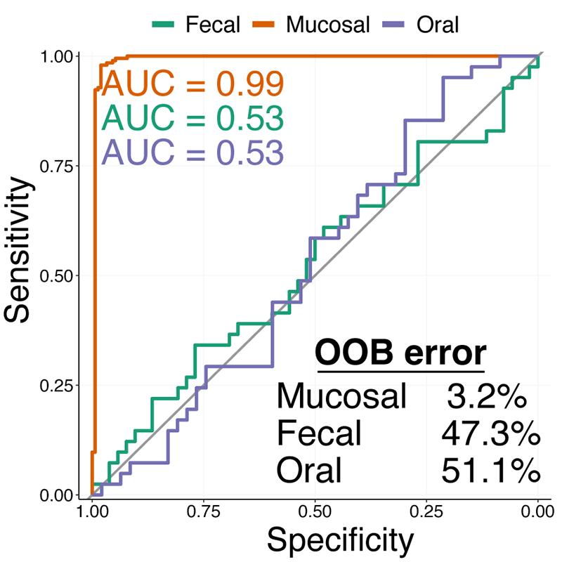 Receiver Operating Characteristic (ROC) curve of adenoma prediction accuracy of fecal, oral, and mucosal microbial communities. 