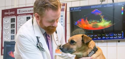 clinical_diagnostic_imaging