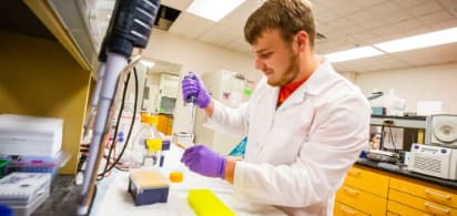 Student working in lab Student working in lab