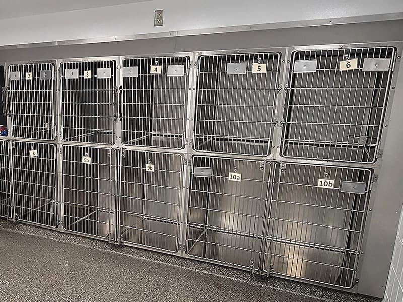 Internal Medicine Small Animal Cages