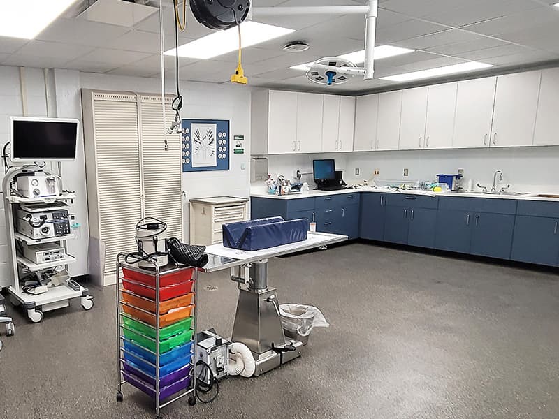 Internal Medicine Examination room