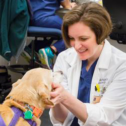 Devon Hague smiling into while examining a dogs face