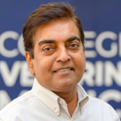 Gireesh Rajashekara