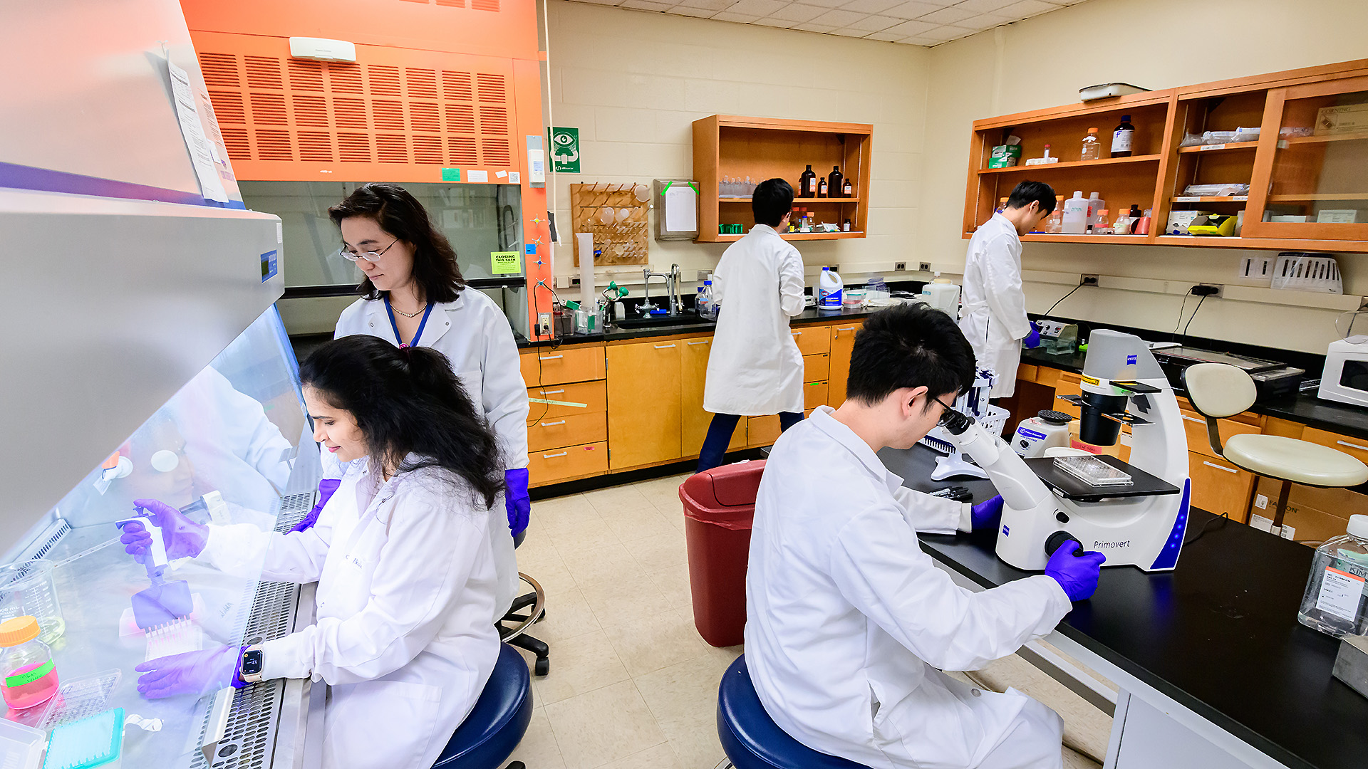 Fang lab team working in lab.