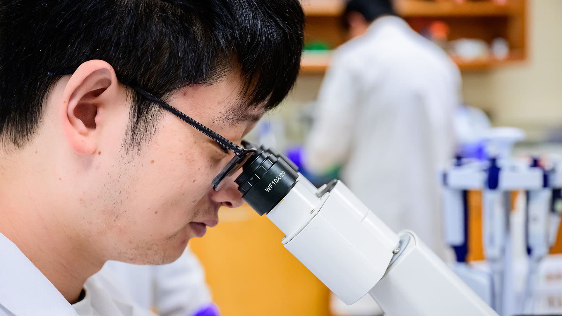 Fang lab team member looking in microscope.