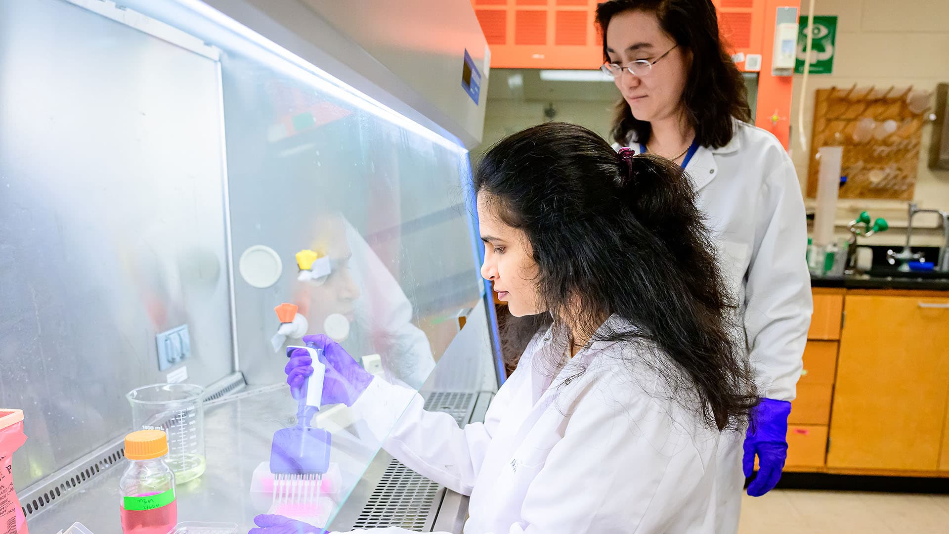 Fang lab team member working in lab.