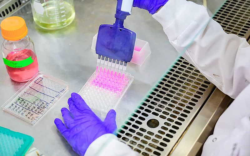 Fang lab preparing samples.