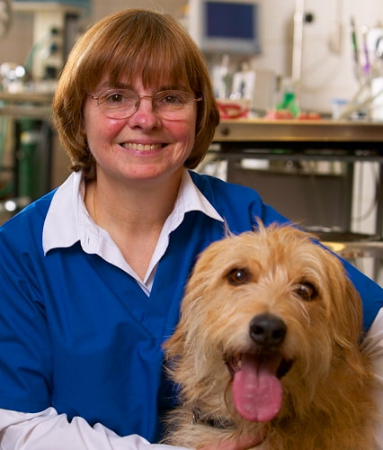 Sandra Manfra Marretta