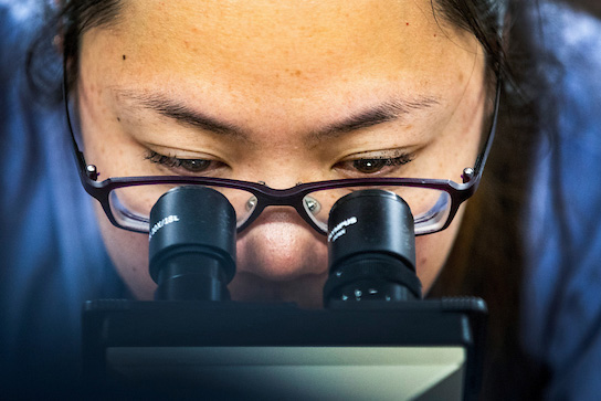 Woman looking through a microscope