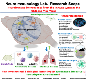 NeuroImmunology Lab Research Scope