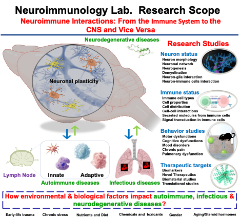 NeuroImmunology Lab Research Scope