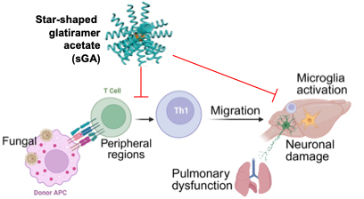 Star-Shaped Glatiramer